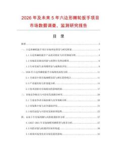 2026年及未來5年六邊形棘輪扳手項目市場數據調查、監測研究報告
