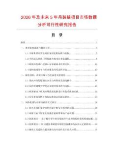 2026年及未來5年吊裝鏈項目市場數據分析可行性研究報告