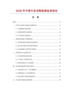 2026年中國牛皮涼鞋數據監測報告