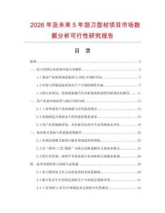 2026年及未來5年刮刀型材項目市場數據分析可行性研究報告