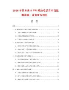 2026年及未來5年針閥熱咀項目市場數據調查、監測研究報告