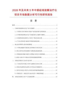 2026年及未來5年中頻經絡按摩治療儀項目市場數據分析可行性研究報告