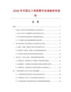 2026年中國正八角型管市場調(diào)查研究報告