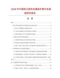 2026年中國剛玉質熱電偶保護管市場調查研究報告