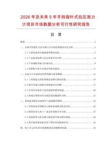 2026年及未來5年手持指針式拉壓測力計項目市場數據分析可行性研究報告