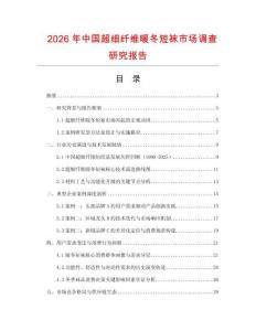 2026年中國超細纖維暖冬短襪市場調查研究報告