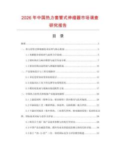 2026年中國熱力套管式伸縮器市場調查研究報告