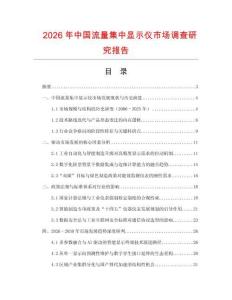 2026年中國流量集中顯示儀市場調查研究報告