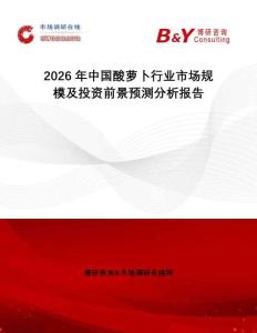 2026年中國酸蘿卜行業(yè)市場規(guī)模及投資前景預(yù)測分析報告