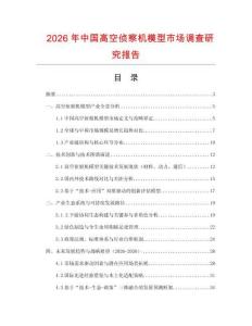 2026年中國高空偵察機模型市場調查研究報告