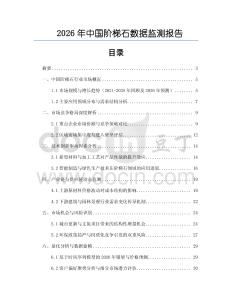 2026年中国阶梯石数据监测报告