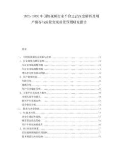 2025-2030中國短視頻行業平臺運營深度解析及用戶留存與流量變現前景預測研究報告