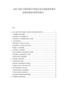 2025-2030中國存儲芯片制造企業市場現狀供需評估投資規劃分析研究報告