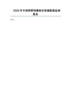 2026年中國鋼管柄橡膠安裝錘數據監測報告