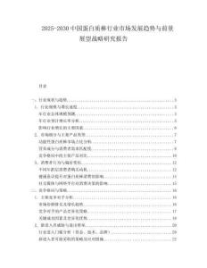 2025-2030中國蛋白質(zhì)棒行業(yè)市場發(fā)展趨勢與前景展望戰(zhàn)略研究報告