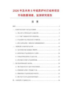 2026年及未來5年硅質爐襯打結料項目市場數據調查、監測研究報告
