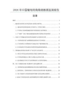 2026年中國輸電轉角角塔數(shù)據(jù)監(jiān)測報告