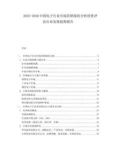 2025-2030中國電子行業(yè)市場(chǎng)營銷現(xiàn)狀分析投資評(píng)估行業(yè)發(fā)展趨勢(shì)報(bào)告