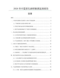 2026年中國多孔硝銨數據監測報告