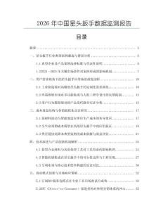2026年中國星頭扳手數據監測報告