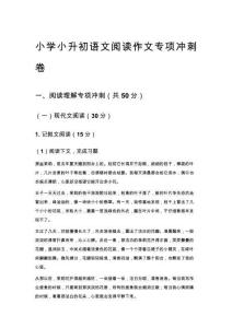 小學小升初語文閱讀作文專項沖刺卷