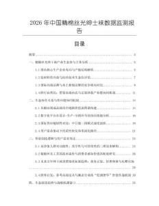 2026年中國精棉絲光紳士襪數據監測報告