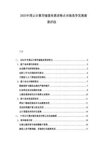 2025中國云計算存儲服務需求特點市場競爭發展前景評估