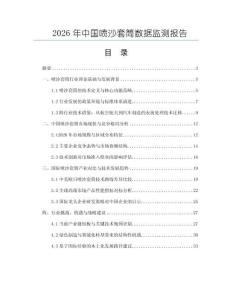 2026年中國噴沙套筒數(shù)據(jù)監(jiān)測報告