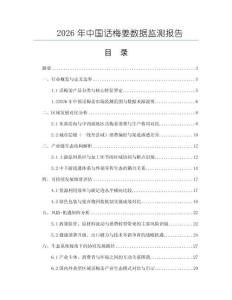 2026年中國話梅姜數據監測報告