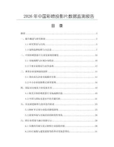 2026年中國彩噴投影片數據監測報告