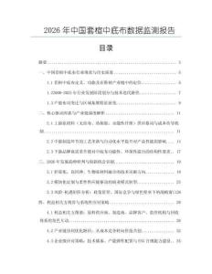 2026年中國套楦中底布數據監測報告