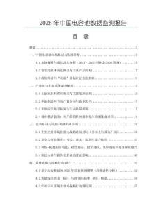 2026年中国电容池数据监测报告