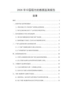 2026年中國啞光紛數據監測報告