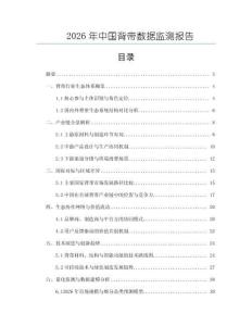 2026年中國背帶數據監測報告