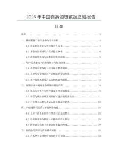2026年中國鋼索腰鏈數(shù)據(jù)監(jiān)測報(bào)告