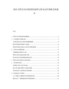 2025零售行業(yè)并購重組案例與資本運作策略分析報告
