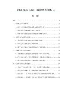 2026年中国爬山鞋数据监测报告