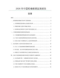2026年中國輪緣數據監測報告