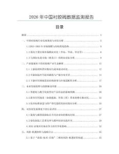 2026年中国衬胶阀数据监测报告