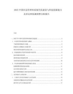 2025中國應急管理體系現代化建設與科技創新能力及多災種監測預警分析報告