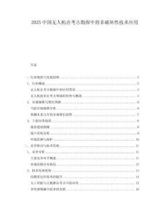 2025中國無人機在考古勘探中的非破壞性技術(shù)應(yīng)用