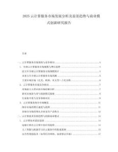 2025云計算服務市場發展分析及前景趨勢與商業模式創新研究報告