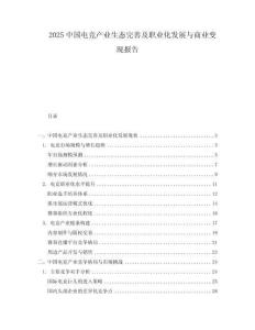 2025中國電競產(chǎn)業(yè)生態(tài)完善及職業(yè)化發(fā)展與商業(yè)變現(xiàn)報(bào)告
