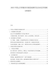 2025中國云計算服務市場發展路徑及企業競爭策略分析報告