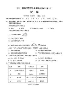 遼寧省鞍山市2025-2026學(xué)年高一上學(xué)期期末化學(xué)試卷