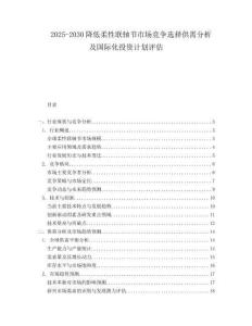 2025-2030降低柔性聯軸節市場競爭選擇供需分析及國際化投資計劃評估