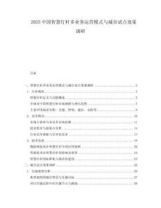 2025中國智慧燈桿多業(yè)務運營模式與城市試點效果調研