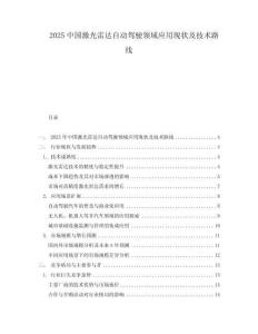 2025中國激光雷達(dá)自動駕駛領(lǐng)域應(yīng)用現(xiàn)狀及技術(shù)路線