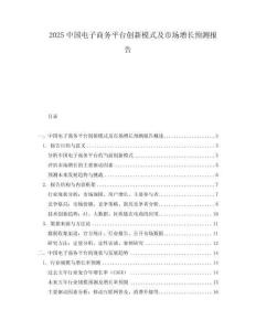 2025中國電子商務平臺創新模式及市場增長預測報告