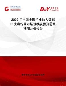 2026年中國(guó)金融行業(yè)的大數(shù)據(jù)IT支出行業(yè)市場(chǎng)規(guī)模及投資前景預(yù)測(cè)分析報(bào)告